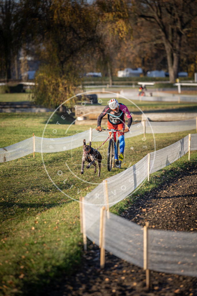 CaniXpix_DV3A0998 | Hundefotografie, Tierfotograf, Pfotenfotografie, Fotoshooting Hund, Hunde Portrait, Hundesport, Hundeportraits, Heideshooting, Hunde, Sportfotograf, Hundefotograf, Turnierhundsport, THS,  - Realisiert mit Pictrs.com