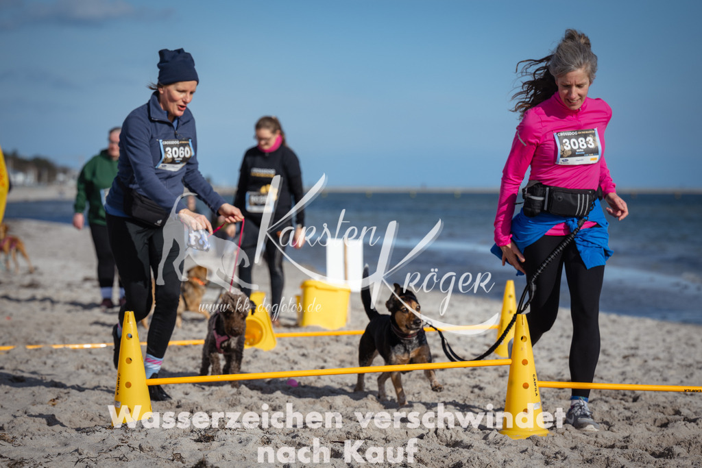 1348_ZZ93745 | kk-dogfotos
