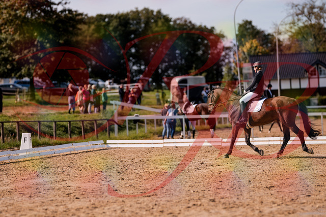 2026_10_03_Siefer-Hof_130230_Z81_57007841 | Professionelle Reitsport-, Turnier- und Eventfotografie von Robert Broda. Galerien mit ausgewählten und bearbeiteten Bildern direkt online ansehen und bestellen.
