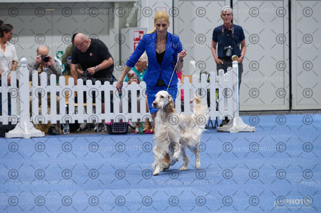 202406_ÖKV-IHA-Tulln24_DSC_3115 | proPHOTO - Realisiert mit Pictrs.com