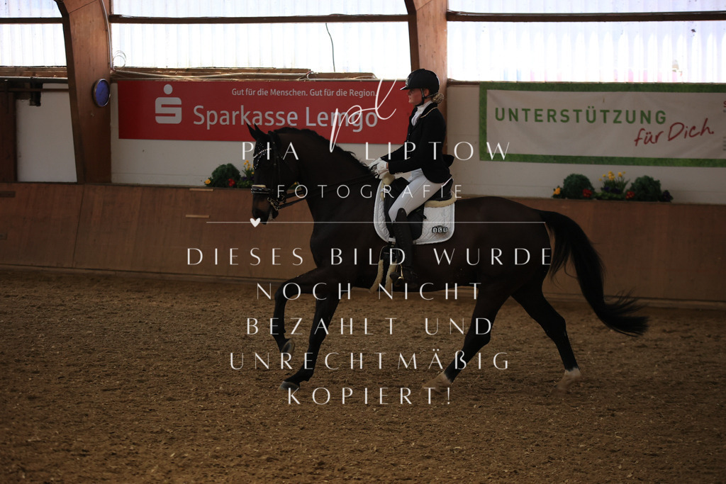 IMGT3899 | pl-fotografie