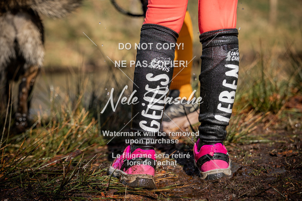 nelerasche_FS1300-1330_14 | nelerasche