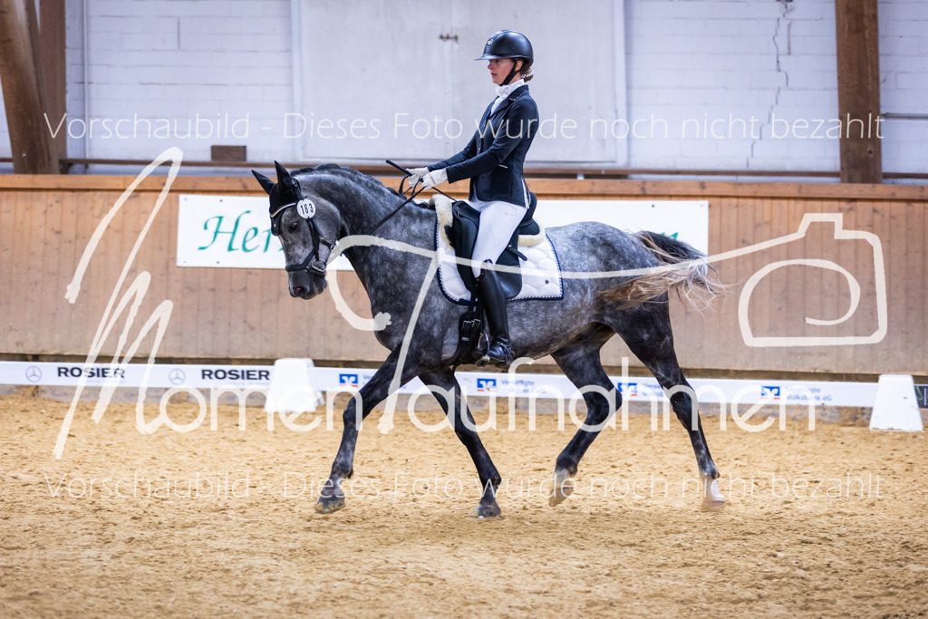 Sth-A-Dre-2St-185 | MomenTaufnahmen Pferdesportfotos