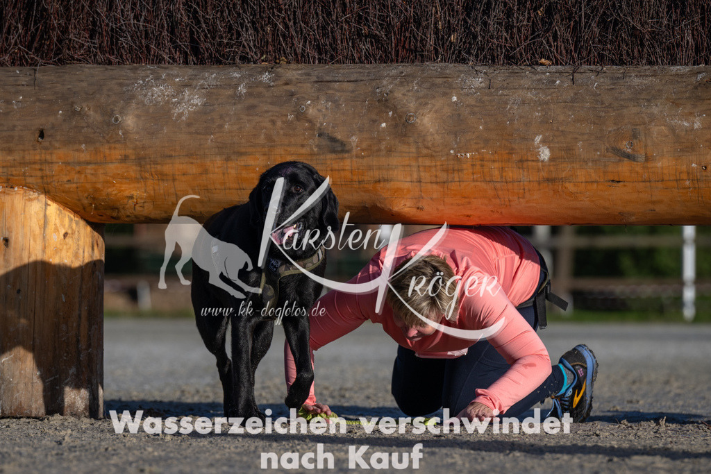 0945-94692 | kk-dogfotos