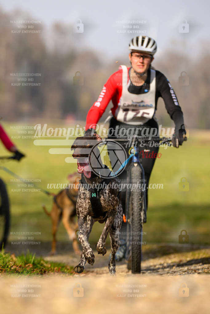MompixPhotography_6ReiatRennen2026_SA_HappyDog-142 | PayLife