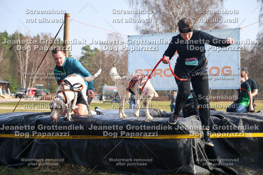 Dog Paparazzi - Strongdog North Mrz26-1521 | Dog Paparazzi Jeanette Grottendiek Fotografie & Videografie - Realisiert mit Pictrs.com