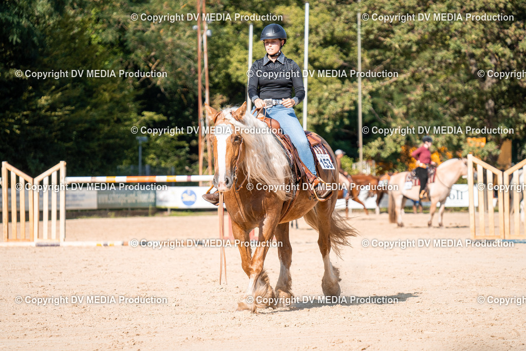 ZH100742 | dv-media-shop - Realisiert mit Pictrs.com