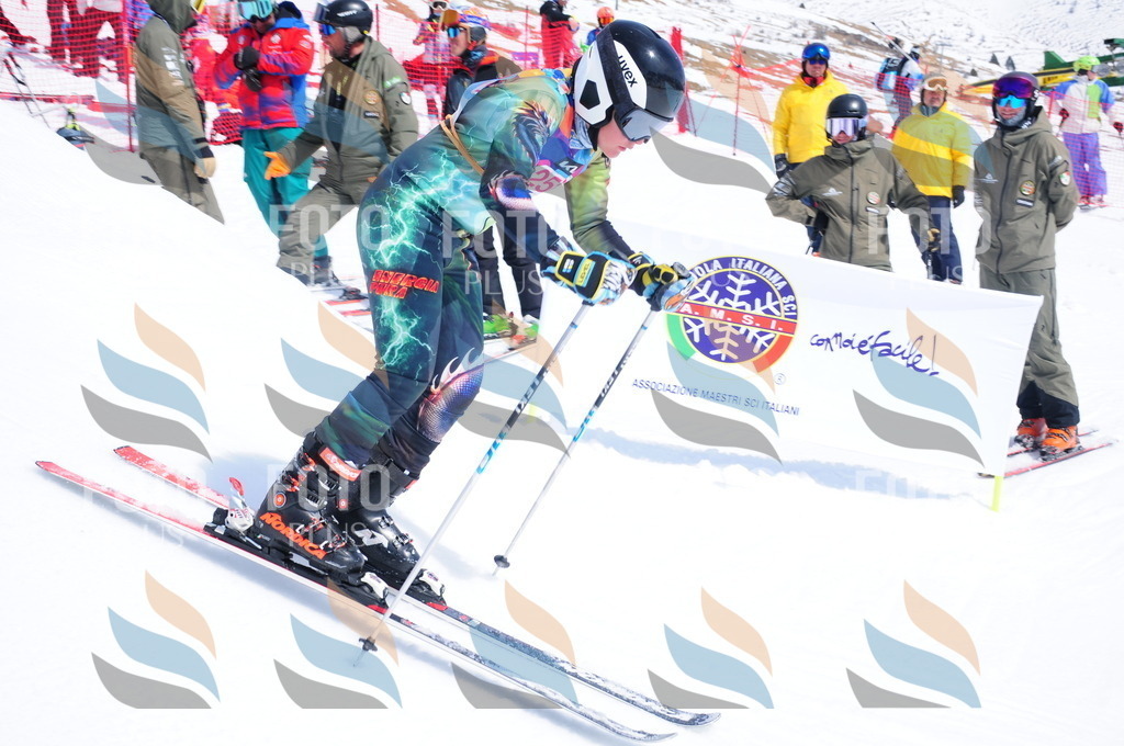 DSC_6248 | holidayphoto