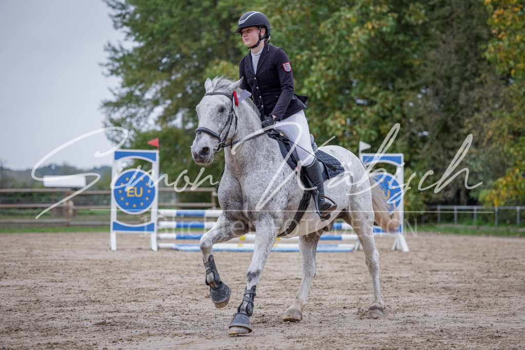 20251012-_3LI3587 | Tierfotografie Pferde, Hunde, Katzen, Haustiere.
Turnierfotografie Reitturniere, Reiten, Springreiten, Dressur in Hanau, dem Main-Kinzig-Kreis und dem Rhein-Main- Gebiet um Frankfurt