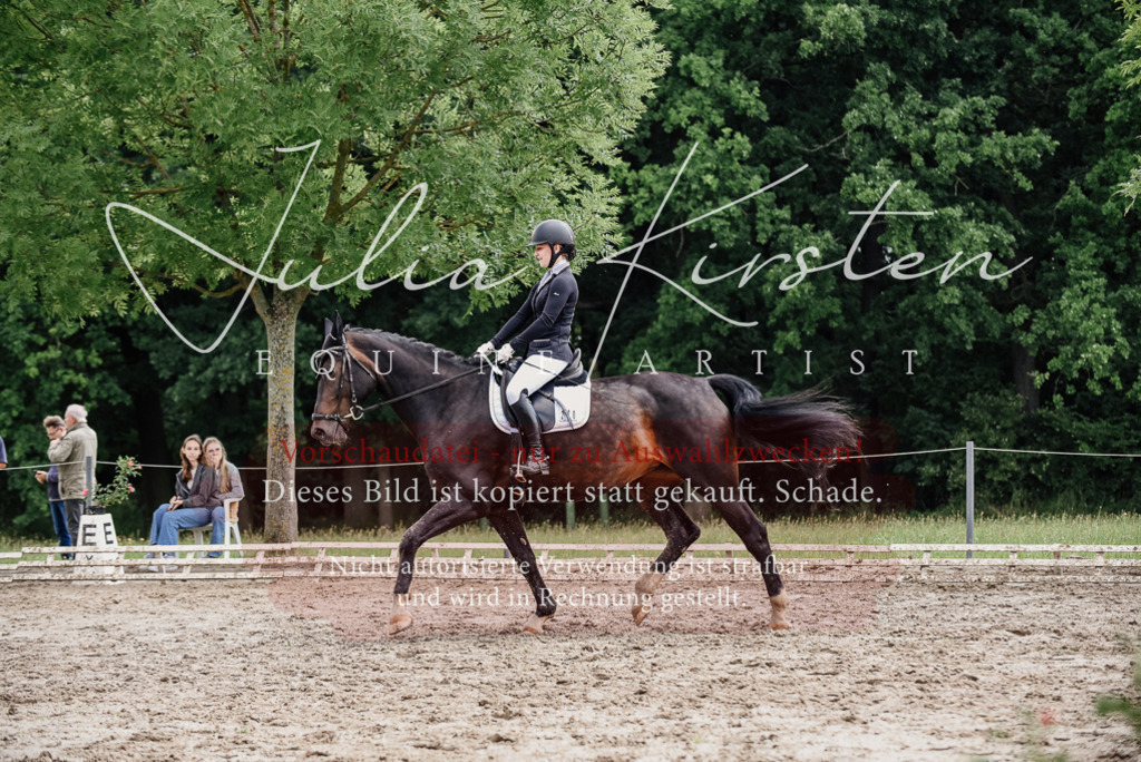 DSC_0597 | Pferde- und Turnierfotografie in Westsachsen. Pferdeportraits, Auftragszeichnungen und intuitive Kunst.