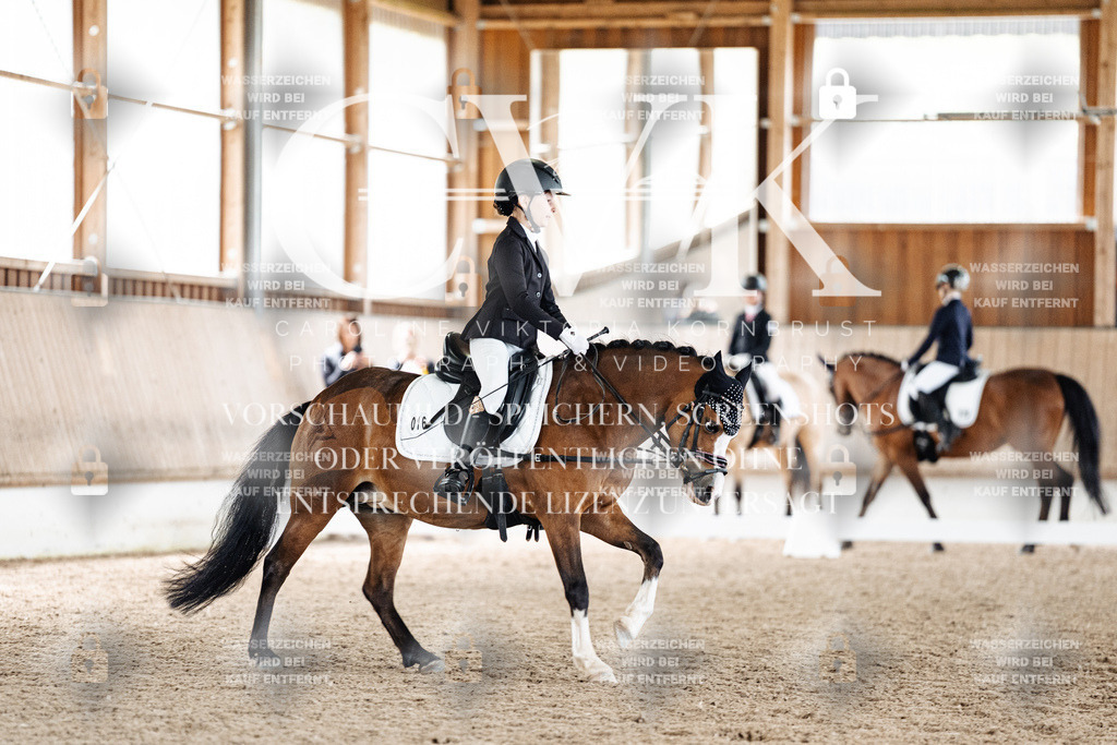 CK901460 | Turnierfotografie Pferdefotografie Trier Rheinland-Pfalz Pferdesport Reitsport Tierfotografie Sportfotografie Pferdevideo Pferdevideografie Equestrianvideography equestrianphotography  - Realisiert mit Pictrs.com