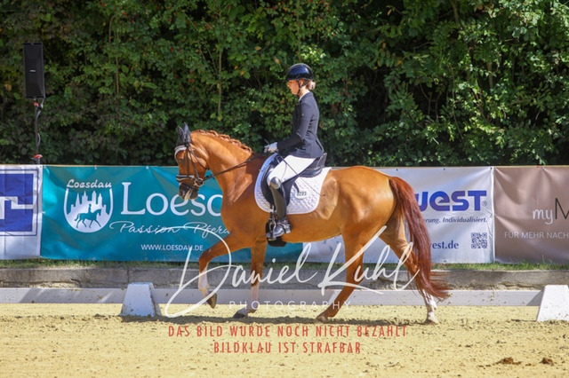 DKP41989 | Turniersportfotografie; Pferdefotografie; Dressurfotografie