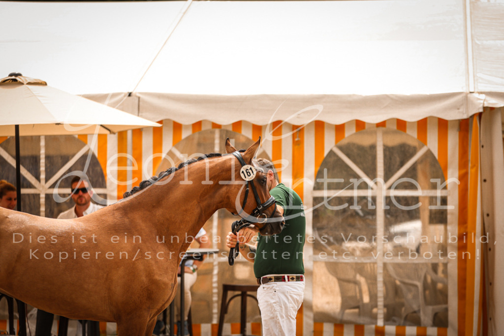 11.So00017 | Leoni Ertmer Photography - Realisiert mit Pictrs.com