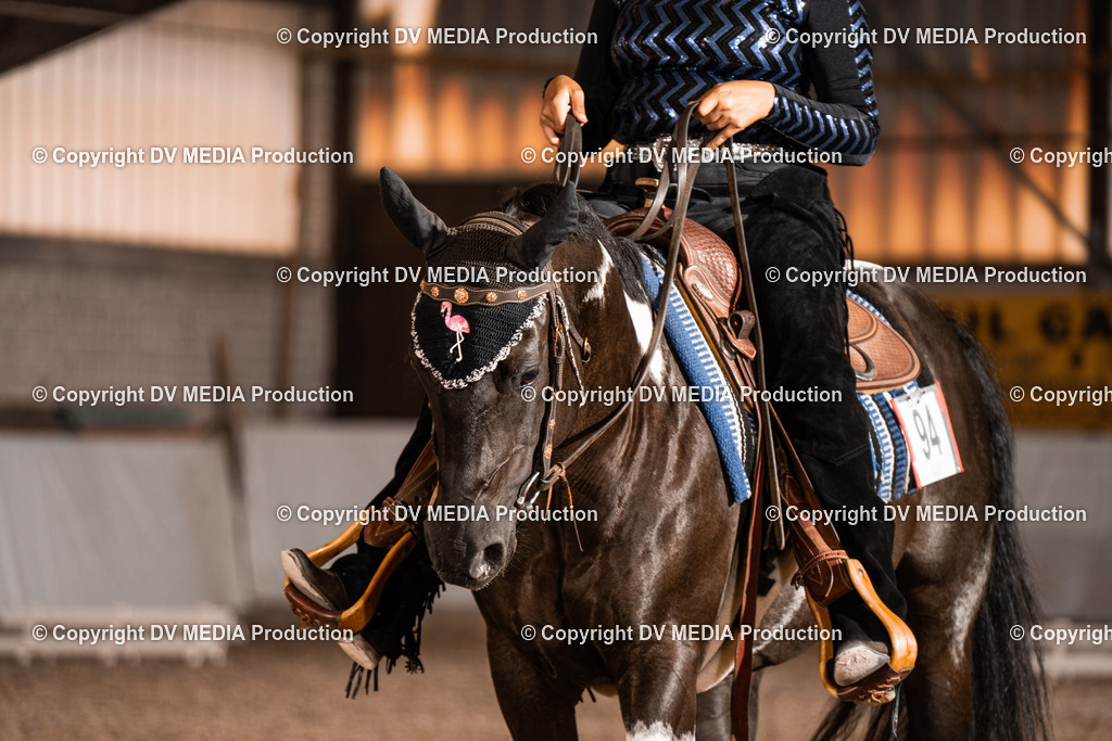 ZH200406 | dv-media-shop - Realisiert mit Pictrs.com