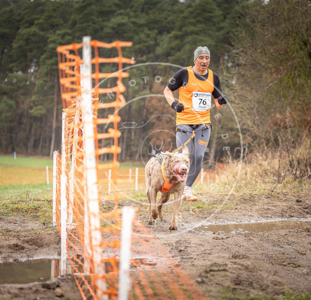 DV3A0303 | Hundefotografie, Tierfotograf, Pfotenfotografie, Fotoshooting Hund, Hunde Portrait, Hundesport, Hundeportraits, Heideshooting, Hunde, Sportfotograf, Hundefotograf, Turnierhundsport, THS,  - Realisiert mit Pictrs.com