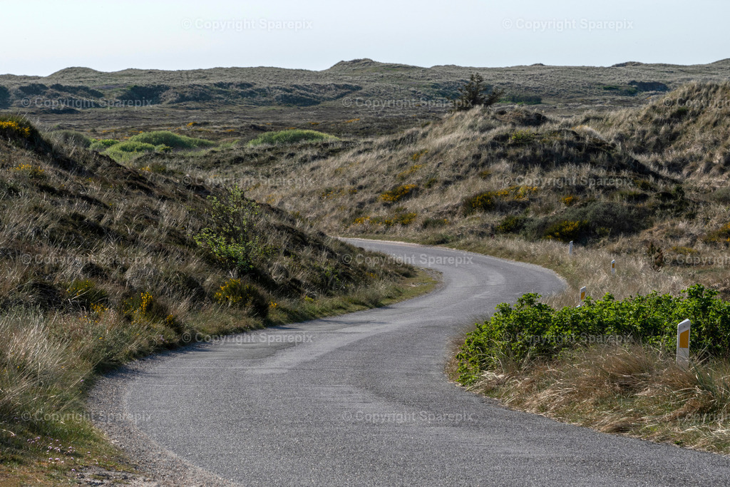 CAR_TE_Country_Road26 | stehend, Straße abfallend10/80° leicht diffus - Realisiert mit Pictrs.com