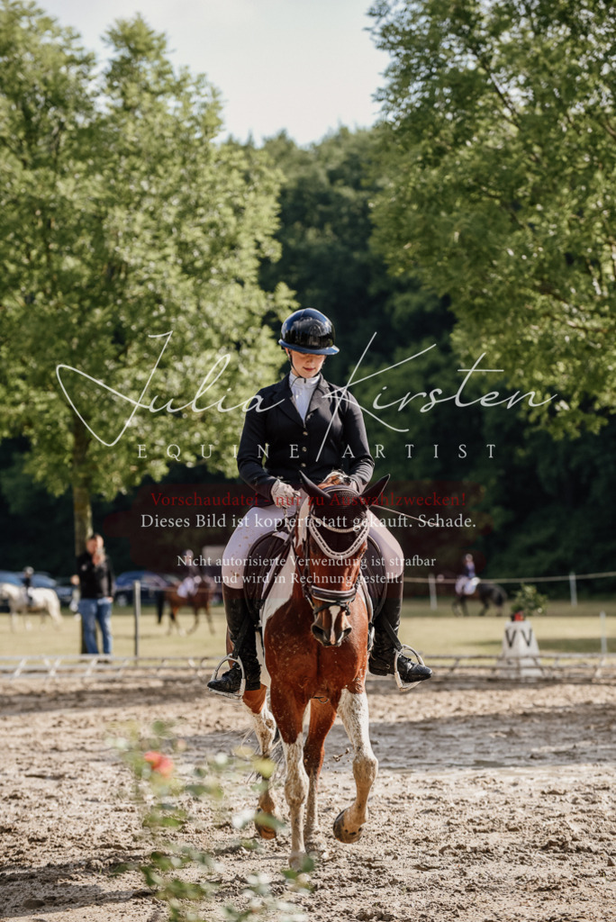 DSC_8744 | Pferde- und Turnierfotografie in Westsachsen. Pferdeportraits, Auftragszeichnungen und intuitive Kunst.