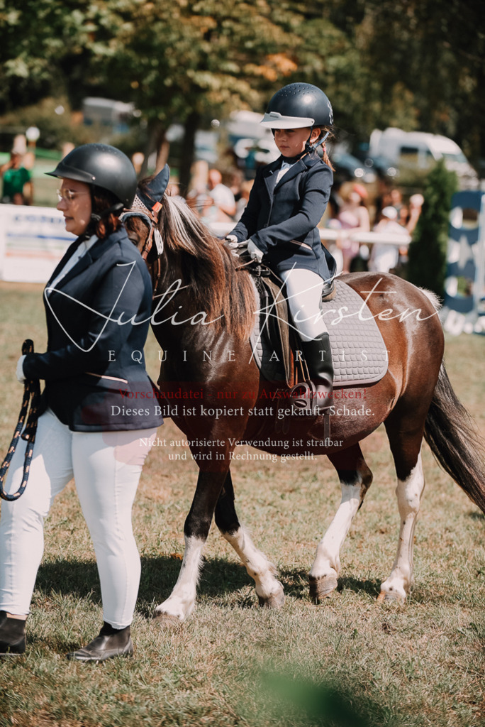 DSC_6036 | Pferde- und Turnierfotografie in Westsachsen. Pferdeportraits, Auftragszeichnungen und intuitive Kunst.