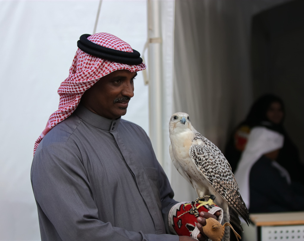 IMG_6671a | ansichtssache