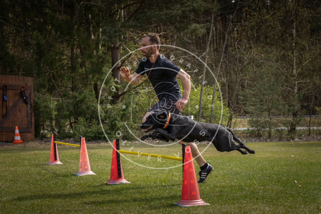 Pfotenfotografie_DV3A3476 | Hundefotografie, Tierfotograf, Pfotenfotografie, Fotoshooting Hund, Hunde Portrait, Hundesport, Hundeportraits, Heideshooting, Hunde, Sportfotograf, Hundefotograf, Turnierhundsport, THS,  - Realisiert mit Pictrs.com