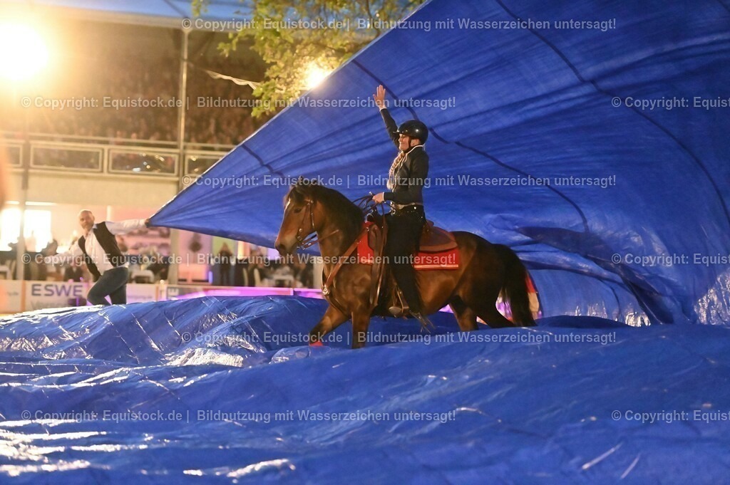 20230526_Pferdenacht_1058 | equistock