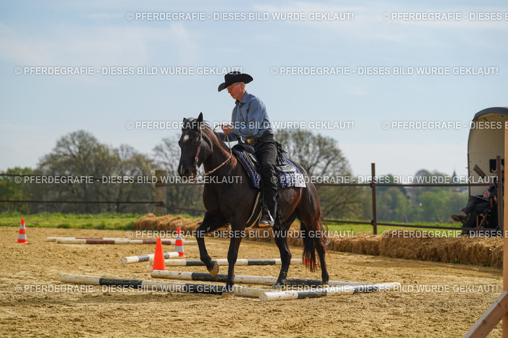 DSC02038 | Pferdegrafie