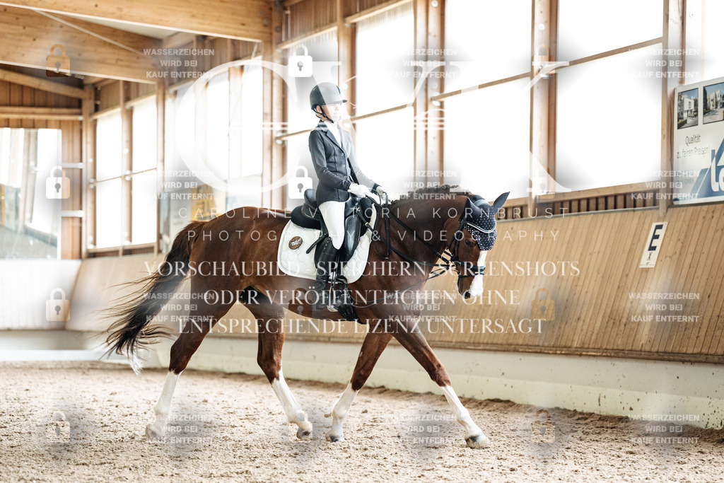 CK900924 | Turnierfotografie Pferdefotografie Trier Rheinland-Pfalz Pferdesport Reitsport Tierfotografie Sportfotografie Pferdevideo Pferdevideografie Equestrianvideography equestrianphotography  - Realisiert mit Pictrs.com