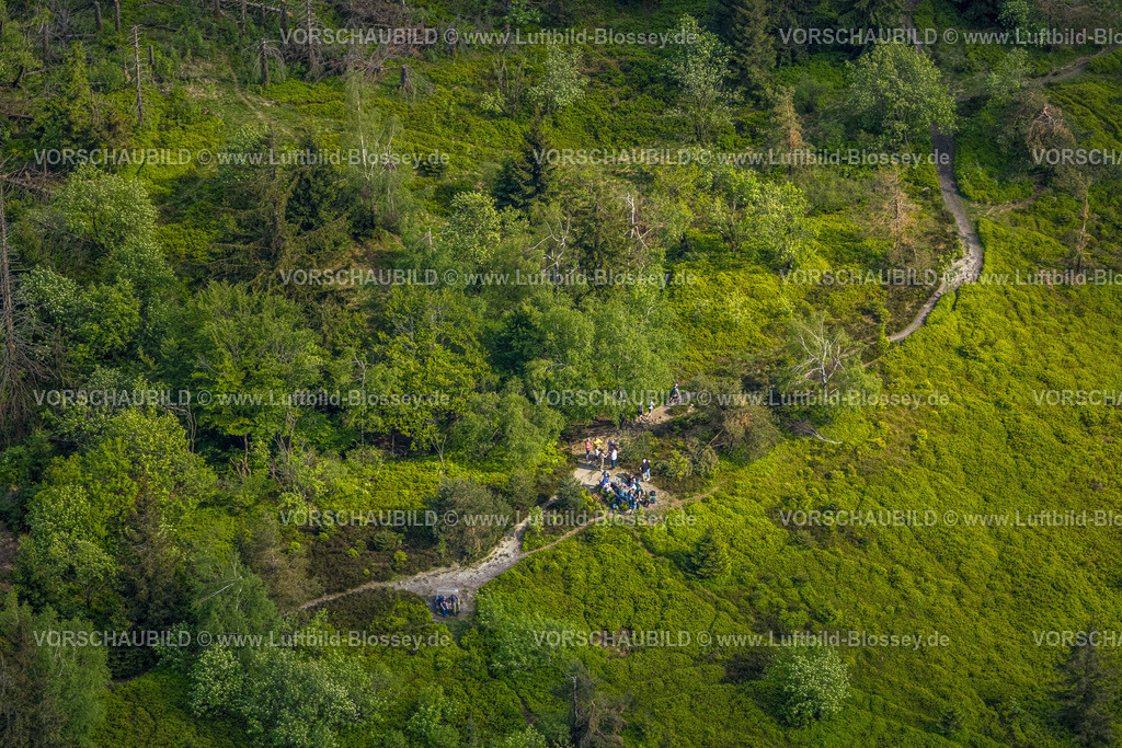 Horn-BadMeinberg240505814LippischerVelmerstot_TeutoburgerWald | Luftbild, Wandergruppe macht Rast in einem Waldstück am Eggeosthang, Waldschäden, Teutoburger Wald, Leopoldstal, Horn-Bad Meinberg, Ostwestfalen, Nordrhein-Westfalen, Deutschland