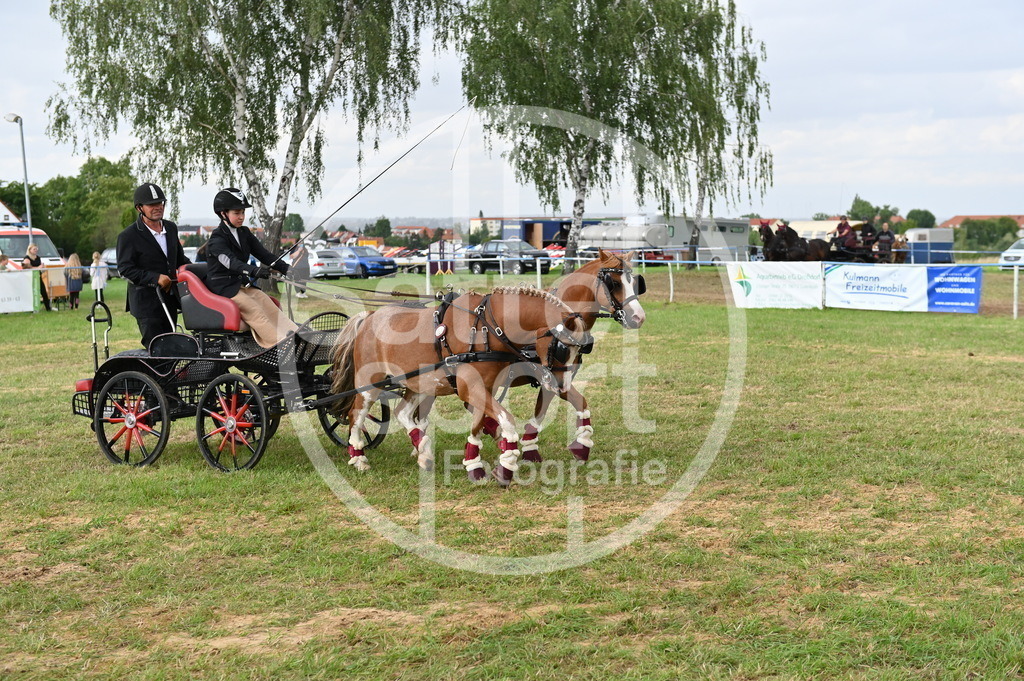 DSC_4525 | sattelsport - Realisiert mit Pictrs.com