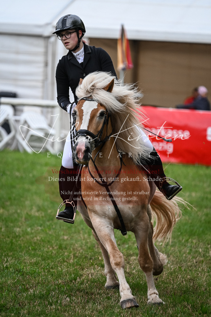 DSC_8392 | Pferde- und Turnierfotografie in Westsachsen. Pferdeportraits, Auftragszeichnungen und intuitive Kunst.