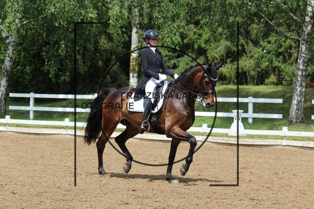 IMG_7808 | franziskalange - Realisiert mit Pictrs.com