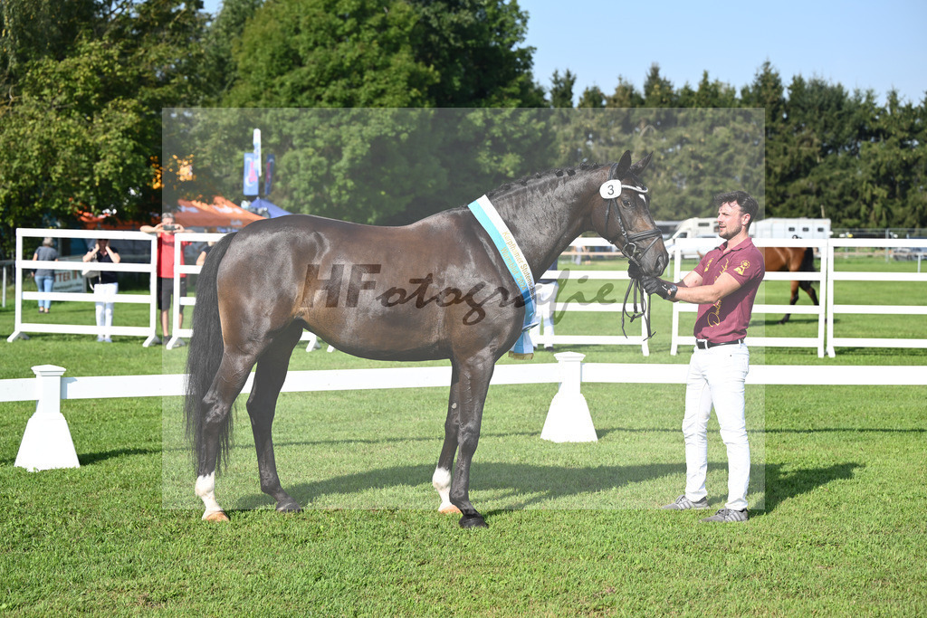 Kat-Nr. 3 Fleur_Hoffmann_34240120 | hf-fotografie - Realisiert mit Pictrs.com