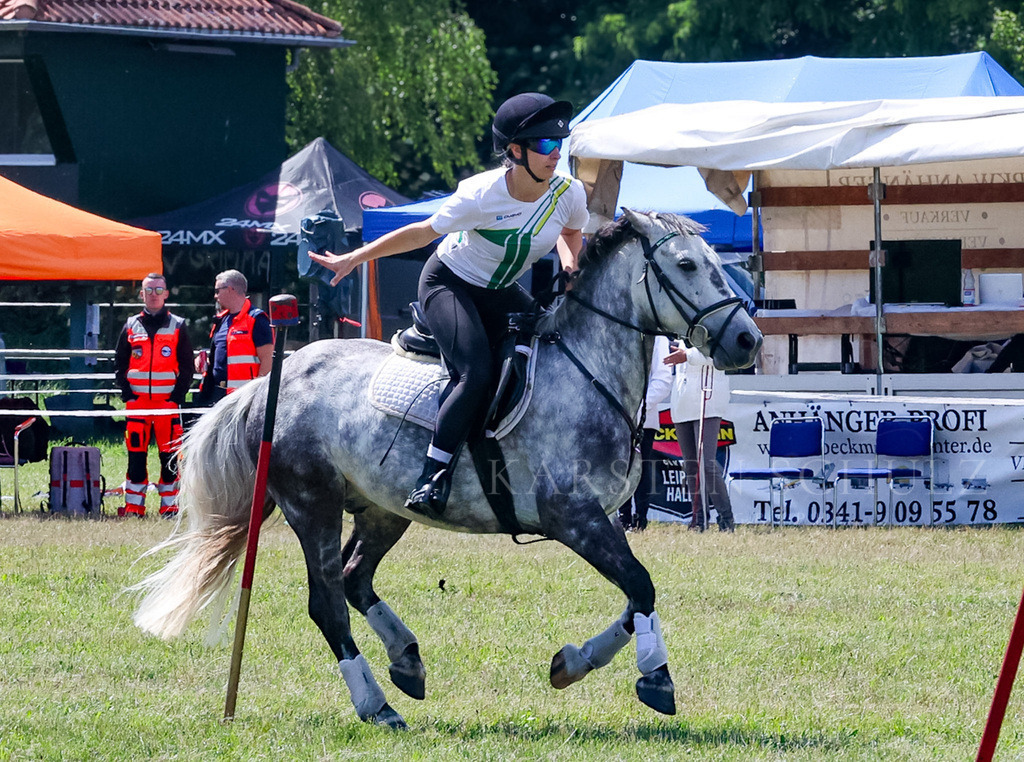 IMG_1596 | Reitsport Reiten