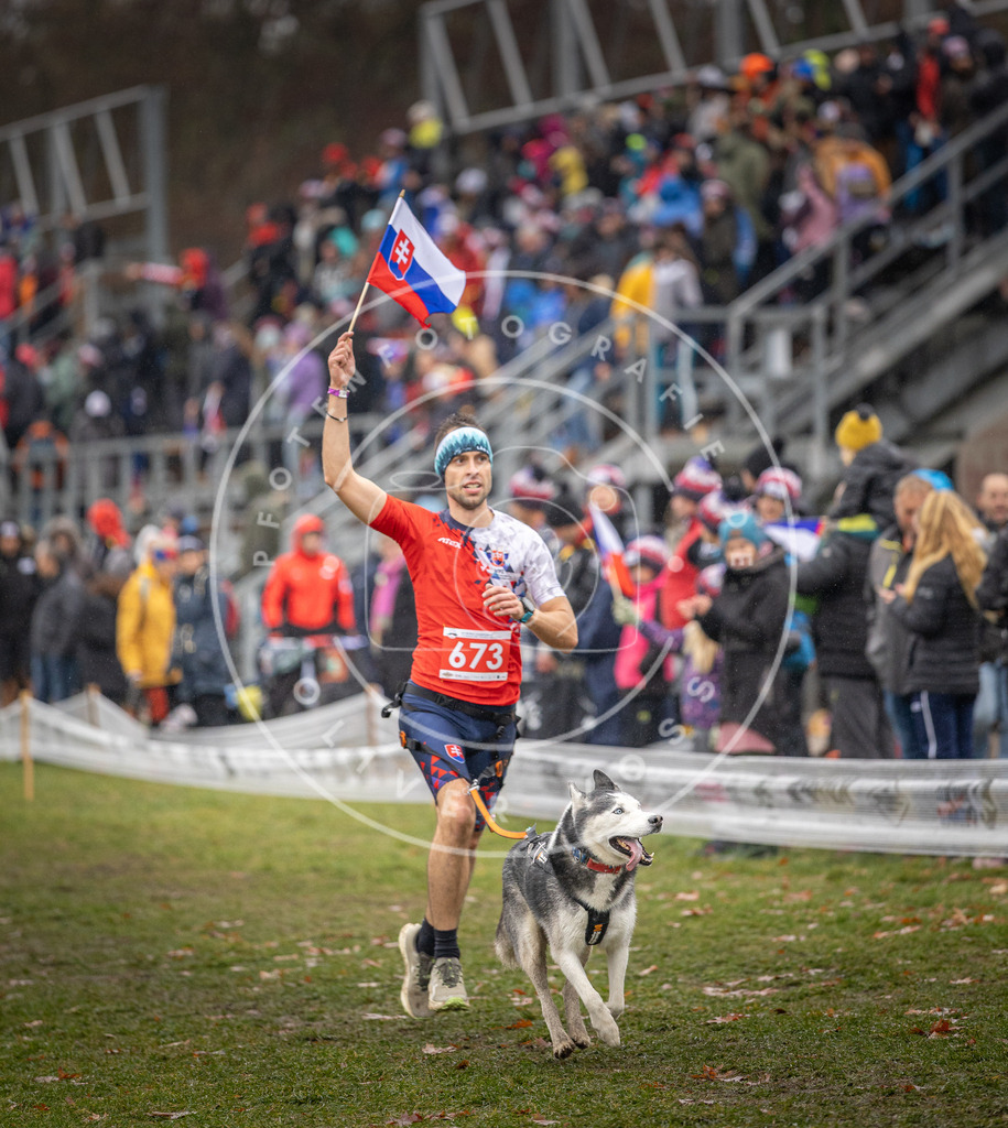 CaniXpix_DV3A0048 | Hundefotografie, Tierfotograf, Pfotenfotografie, Fotoshooting Hund, Hunde Portrait, Hundesport, Hundeportraits, Heideshooting, Hunde, Sportfotograf, Hundefotograf, Turnierhundsport, THS,  - Realisiert mit Pictrs.com