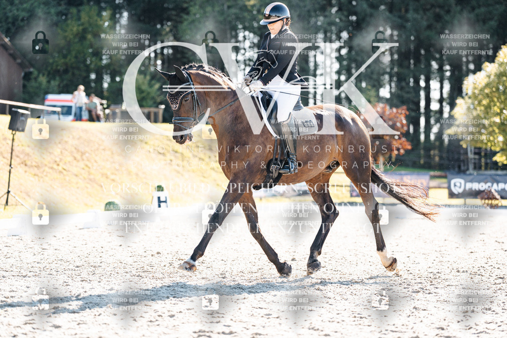 CK906152 | Turnierfotografie Pferdefotografie Trier Rheinland-Pfalz Pferdesport Reitsport Tierfotografie Sportfotografie Pferdevideo Pferdevideografie Equestrianvideography equestrianphotography  - Realisiert mit Pictrs.com