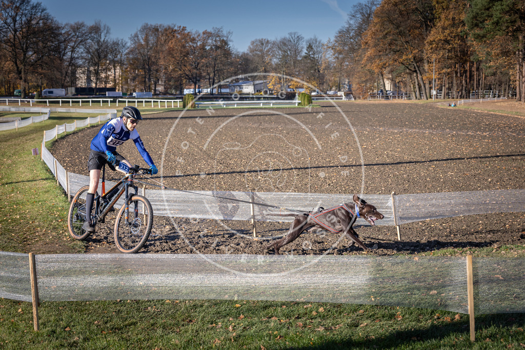 CaniXpix_DV3A3161 | Hundefotografie, Tierfotograf, Pfotenfotografie, Fotoshooting Hund, Hunde Portrait, Hundesport, Hundeportraits, Heideshooting, Hunde, Sportfotograf, Hundefotograf, Turnierhundsport, THS,  - Realisiert mit Pictrs.com
