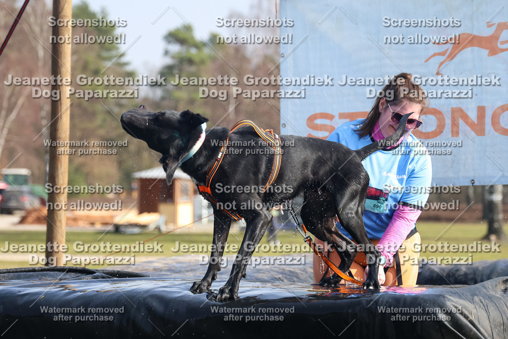 Dog Paparazzi - Strongdog North Mrz26-1738 | Dog Paparazzi Jeanette Grottendiek Fotografie & Videografie - Realisiert mit Pictrs.com