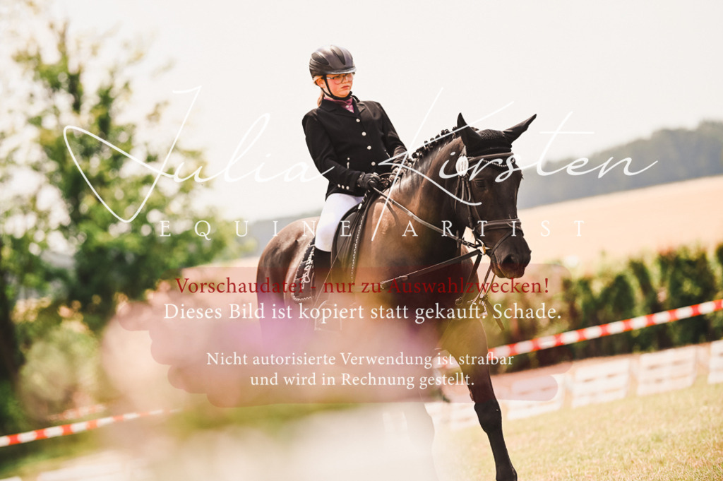 DSC_6276 | Pferde- und Turnierfotografie in Westsachsen. Pferdeportraits, Auftragszeichnungen und intuitive Kunst.