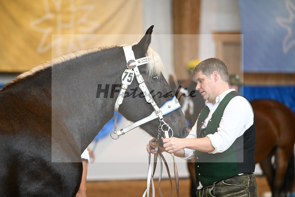 Kat-Nr. 75 Maya_Hoeck_53220349 | hf-fotografie - Realisiert mit Pictrs.com