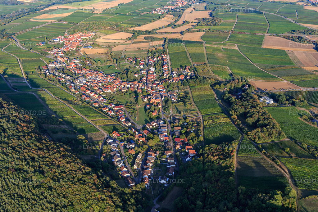 Luftbild: Ortsansicht von Westen im Ortsteil Pleisweiler in Pleisweiler-Oberhofen im Bundesland Rheinland-Pfalz in Deutschland. Foto: IMG_123229.jpg vom 30.09.2020 durch Werner Riehm/FLY-FOTO.de