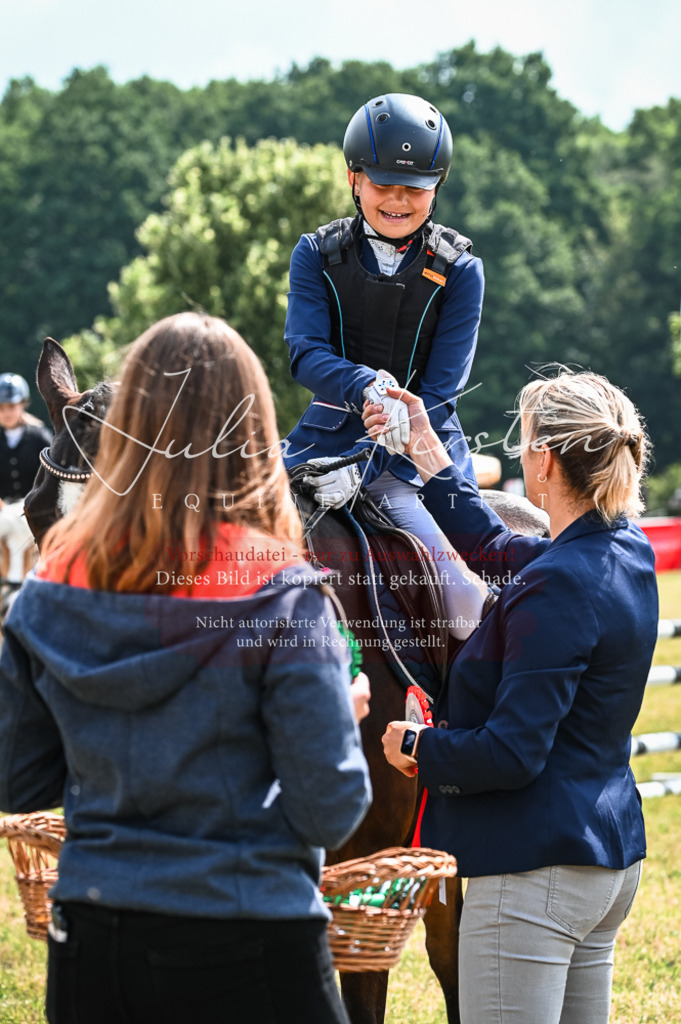 DSC_8613 | Pferde- und Turnierfotografie in Westsachsen. Pferdeportraits, Auftragszeichnungen und intuitive Kunst.