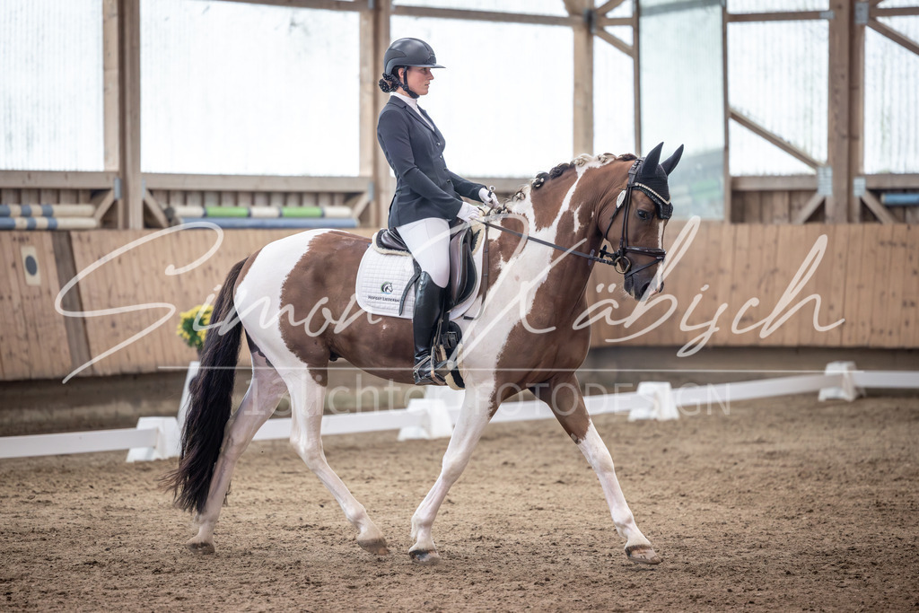 20251011-_3LI0056 | Tierfotografie Pferde, Hunde, Katzen, Haustiere.
Turnierfotografie Reitturniere, Reiten, Springreiten, Dressur in Hanau, dem Main-Kinzig-Kreis und dem Rhein-Main- Gebiet um Frankfurt