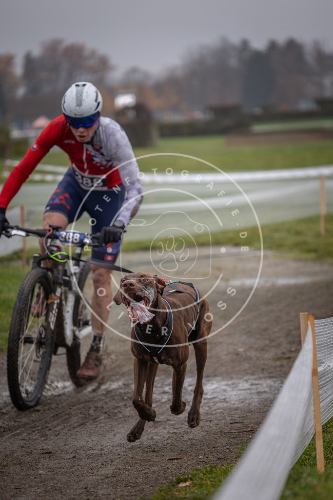 CaniXpix_0L8A1009 | Hundefotografie, Tierfotograf, Pfotenfotografie, Fotoshooting Hund, Hunde Portrait, Hundesport, Hundeportraits, Heideshooting, Hunde, Sportfotograf, Hundefotograf, Turnierhundsport, THS,  - Realisiert mit Pictrs.com