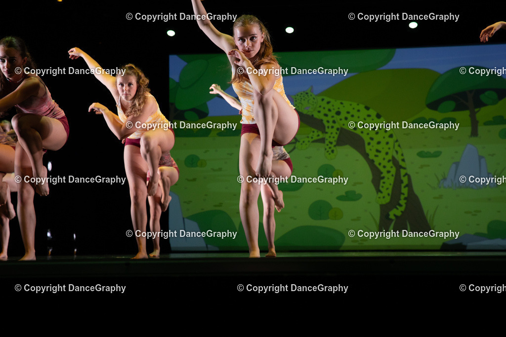 GPHY6340 | DanceGraphy - Realisiert mit Pictrs.com