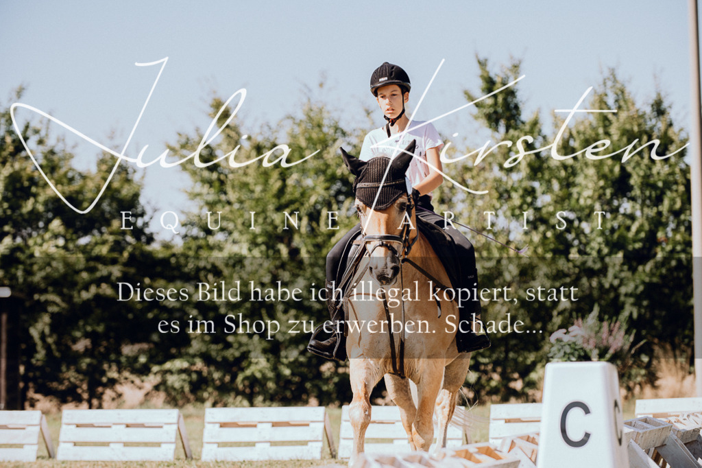 DSC_7286 | Pferde- und Turnierfotografie in Westsachsen. Pferdeportraits, Auftragszeichnungen und intuitive Kunst.