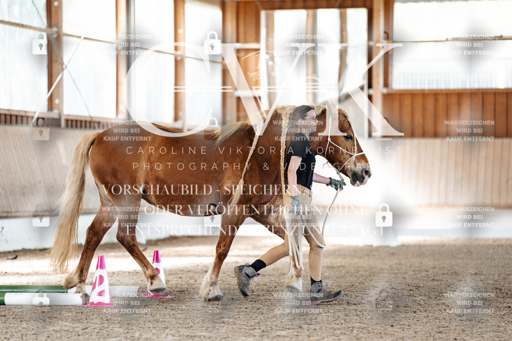 CK905928 | Turnierfotografie Pferdefotografie Trier Rheinland-Pfalz Pferdesport Reitsport Tierfotografie Sportfotografie Pferdevideo Pferdevideografie Equestrianvideography equestrianphotography  - Realisiert mit Pictrs.com