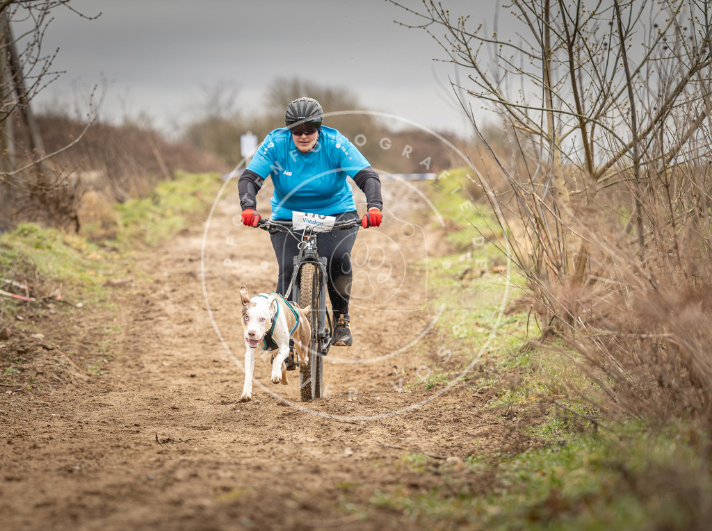 DV3A0688 | Hundefotografie, Tierfotograf, Pfotenfotografie, Fotoshooting Hund, Hunde Portrait, Hundesport, Hundeportraits, Heideshooting, Hunde, Sportfotograf, Hundefotograf, Turnierhundsport, THS,  - Realisiert mit Pictrs.com