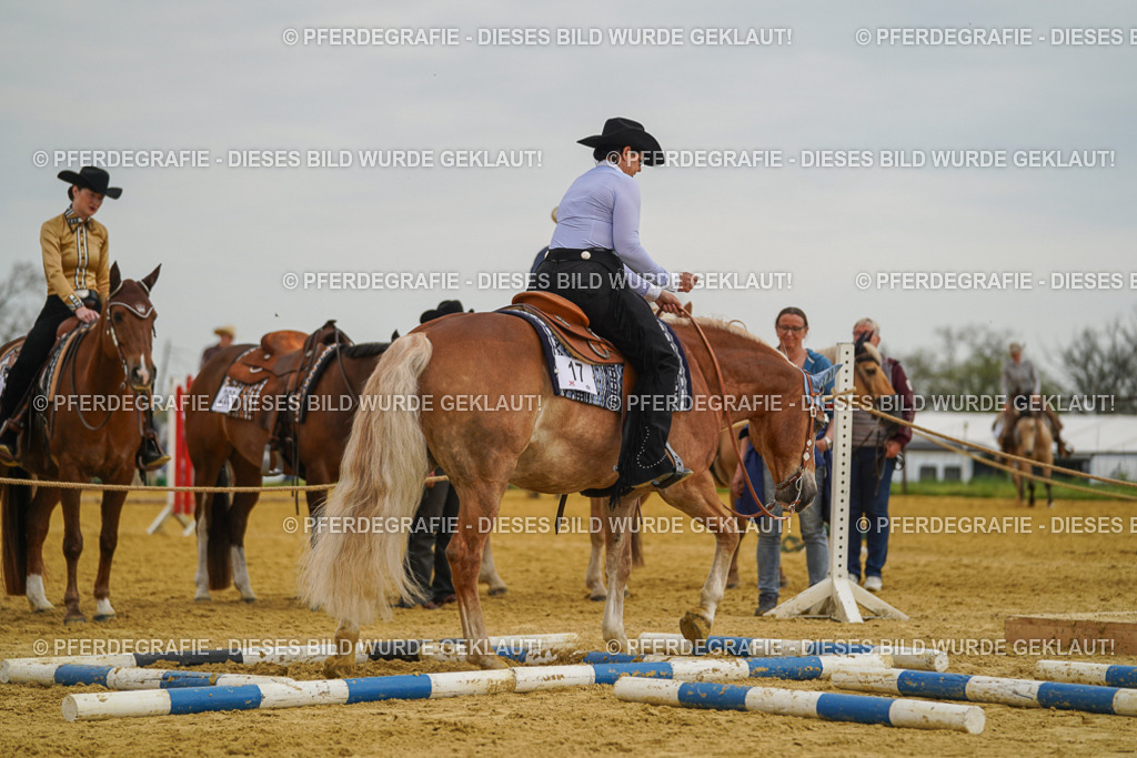 DSC02457 | Pferdegrafie