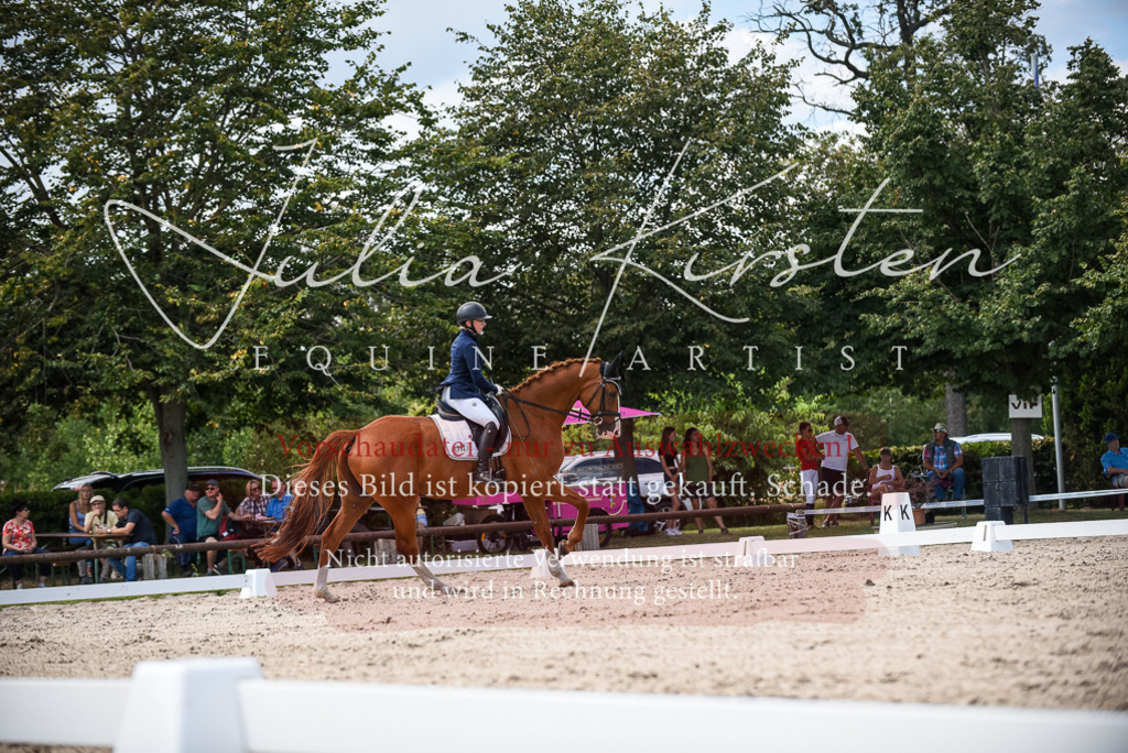 DSC_9235 | Pferde- und Turnierfotografie in Westsachsen. Pferdeportraits, Auftragszeichnungen und intuitive Kunst.