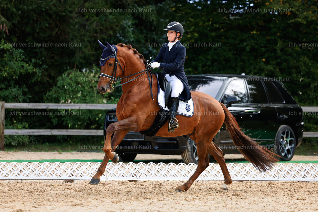 6-143-AMATUER-DRESSUR S_  -StoibPH-3436 | working equitationturnier fotograf videograf stoibphotography marixx film working equitation deutschland reitsport turnierfotografie eventfotografie equestrian events